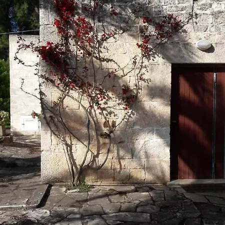 Tenuta Morgicchio